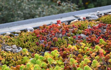 the cost of Moneyneany green roof installation