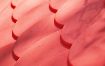 Moneyneany plastic roof costs