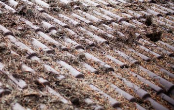 Moneyneany roof cleaning companies