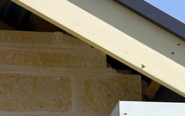 soffit repair Moneyneany