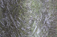 Moneyneany fibreglass roof work